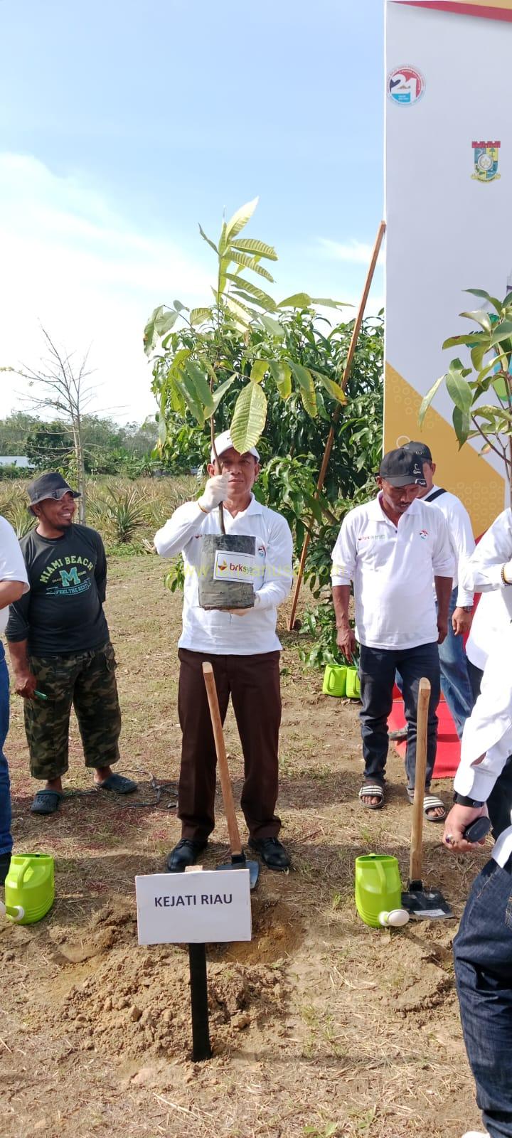 Kegiatan Penanaman Pohon di Desa Pulau Birandang, Kecamatan Kampar Kabupaten Kampar Propinsi Riau