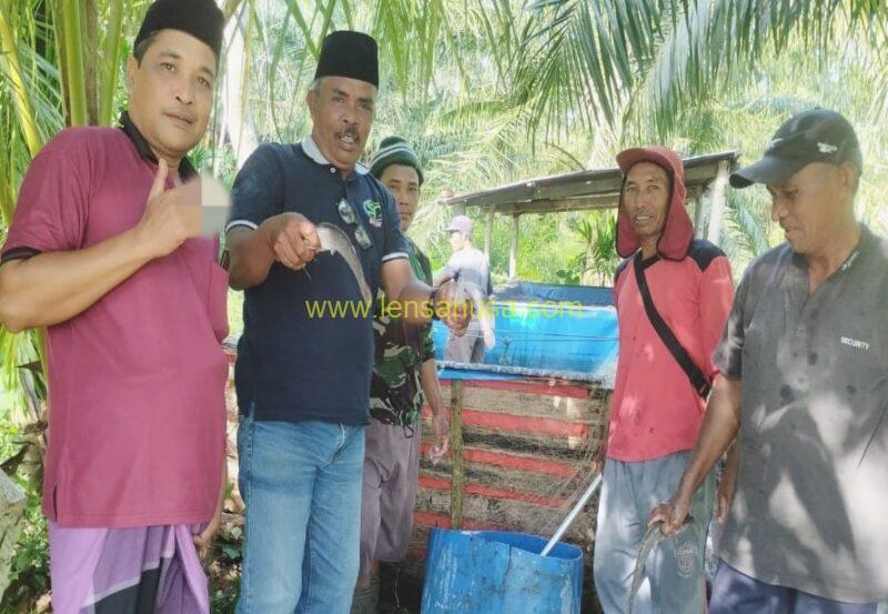 Kades Prapat Tunggal, Ahmad Saat Panen Perdana Kelompok Budidaya Ikan Lele