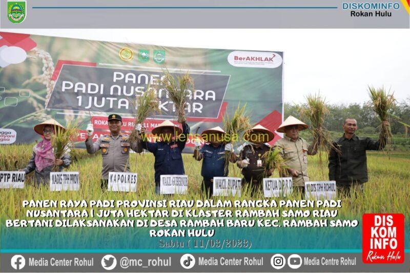 Acara Panen Raya Padi Nusantara 1 Juta Hektar di Rokan Hulu - Riau