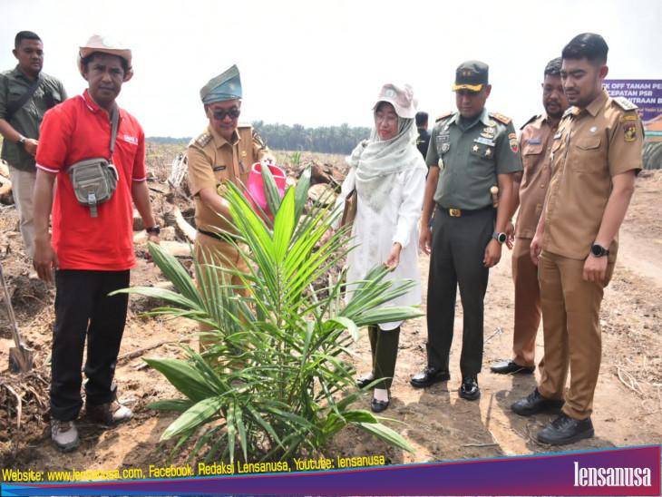 Pj Bupati Kampar Lakukan Kik Of Tanam Perdana Percepatan PSR.